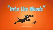 Into the Woods still