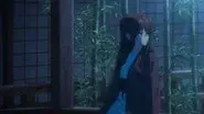 Lullaby of the Stars still