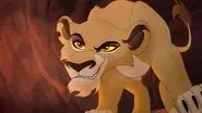 Lions of the Outlands still