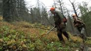 Straight Flush: Montana Mountain Grouse still
