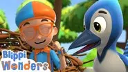 Blippi Learns How To Build A Birds Nest! still
