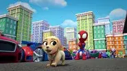 Puppy Pandemonium still