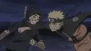 The Collision still