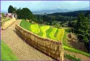 Japan's Secret Garden still