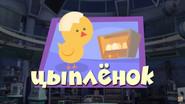 The Chick still