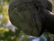 The Tale of the Stone Maiden still