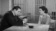 The Case of the Bartered Bikini still