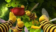 What a Nice Wasp still