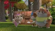 Pilou and the Scooter Chase still