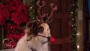 Bark! the Herald Angels Sing still