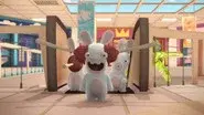 Vampire Rabbid still