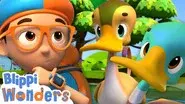 Sink or Float With Ducks! still