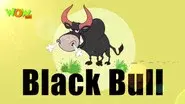 Black Bull still