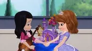 The Shy Princess still