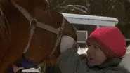 Dairy Poppins still