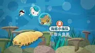 Tiger Fish and Blind Shrimp still