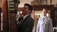A Night at the Bones Museum still