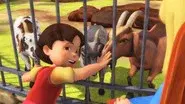 Goats in the City still