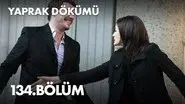 Episode 134 still