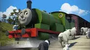 Very Important Sheep still