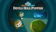 The Octonauts and the Devil's Hole Pupfish still