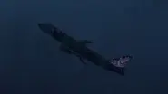 Deadly Solution (Indonesia AirAsia Flight 8501) still