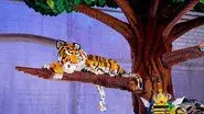 Out on a Limb (Elimination) still