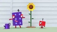 As Tall as the Sun still