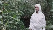 The Deep Jungle still