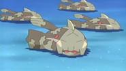 The Relicanth Really Can still