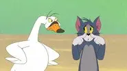 To Your Health / Golf Brawl / Tom's Swan Song / King Spike the First and Last still