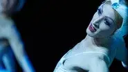 Ballerina Boys still