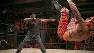 Bird of War still