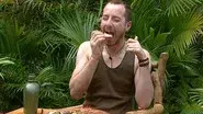 Bushtucker Duel still