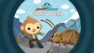 The Octonauts and the Giant Weta still