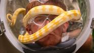 Final: Rat Race / Bushtucker Bonanza / Helmets of Hell still