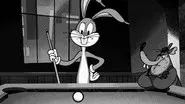 The Color of Bunny still
