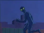 The Spider and the Fly still