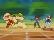 Extreme Pokémon! still
