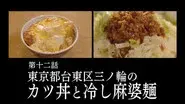 Katsudon and Hiyashi Mapo Noodles of Minowa, Taito Ward, Tokyo still