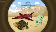 Pininga Turtle still