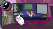 The Towering Hamsterno still