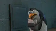 I Was a Penguin Zombie still