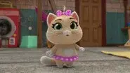The mystery of the Ghost Cat still