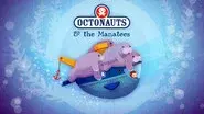 The Manatees still