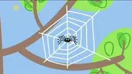 Spider Web still