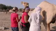 The First Rule of the Amazing Race Club (1) still