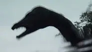 Mystery Sea Beast, the Earth is Alive and Shapeshifting UFO still
