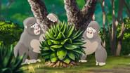 The Lost Gorillas still