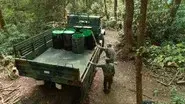 Rolling Down The Mountain still